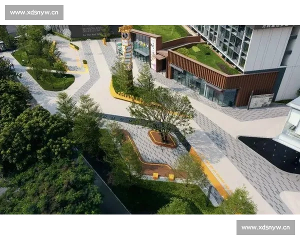 探索剪辑创意与交流的无限可能，共建剪辑爱好者的互动社区